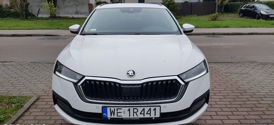 Skoda Octavia cena 75900 przebieg: 129000, rok produkcji 2020 z Płock małe 79